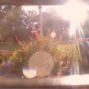 Meet your Posher, Athena